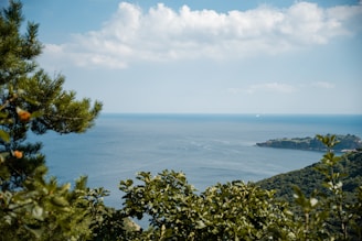 A scenic view of Okinawa's coastline with clear blue waters and lush greenery.