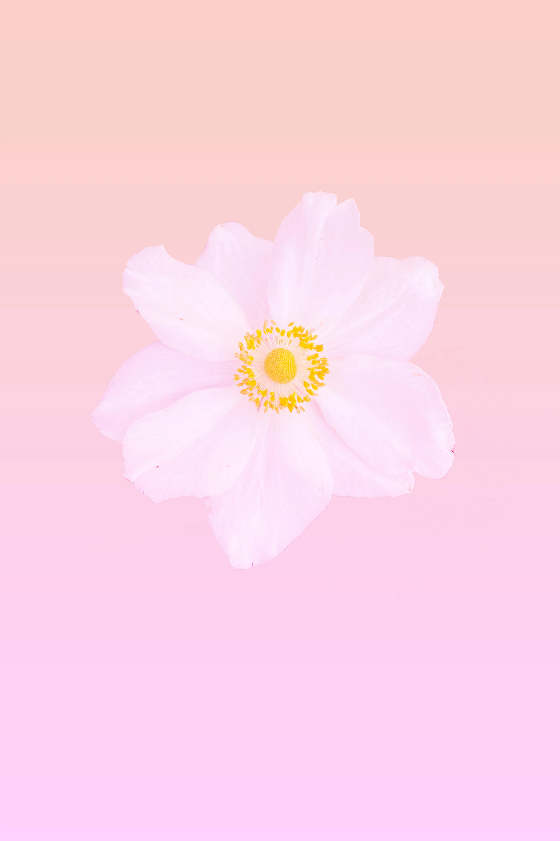 gray computer monitor