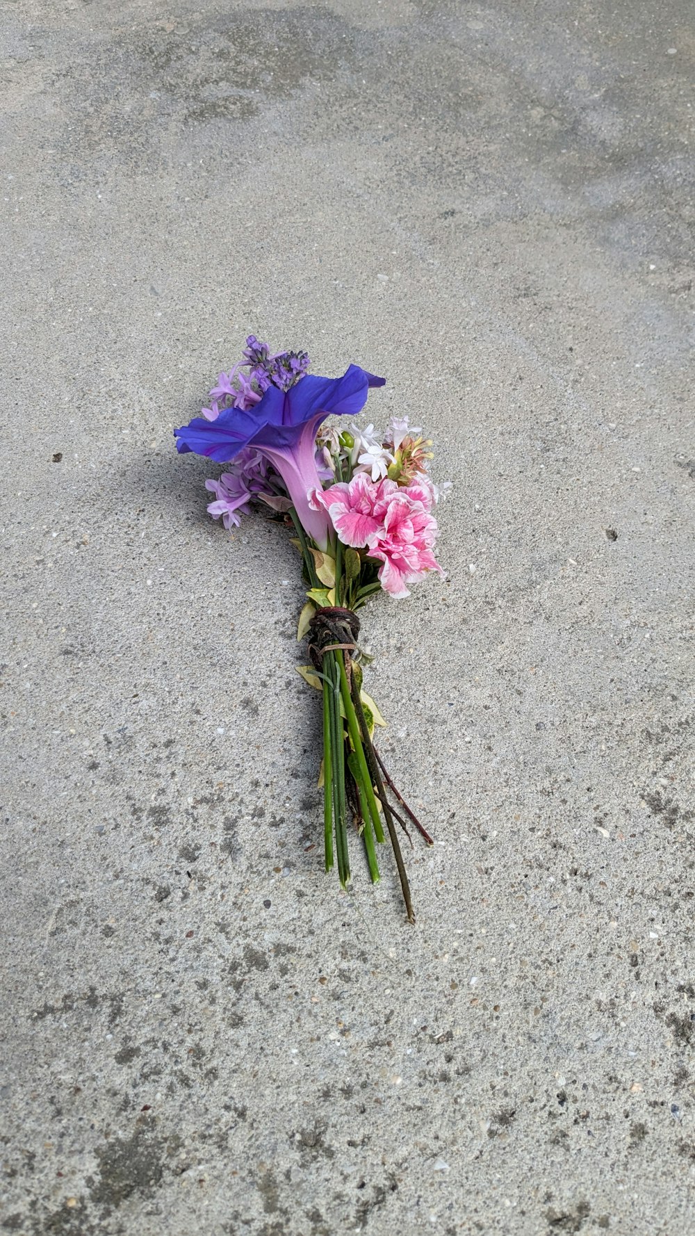 a bunch of flowers that are laying on the ground