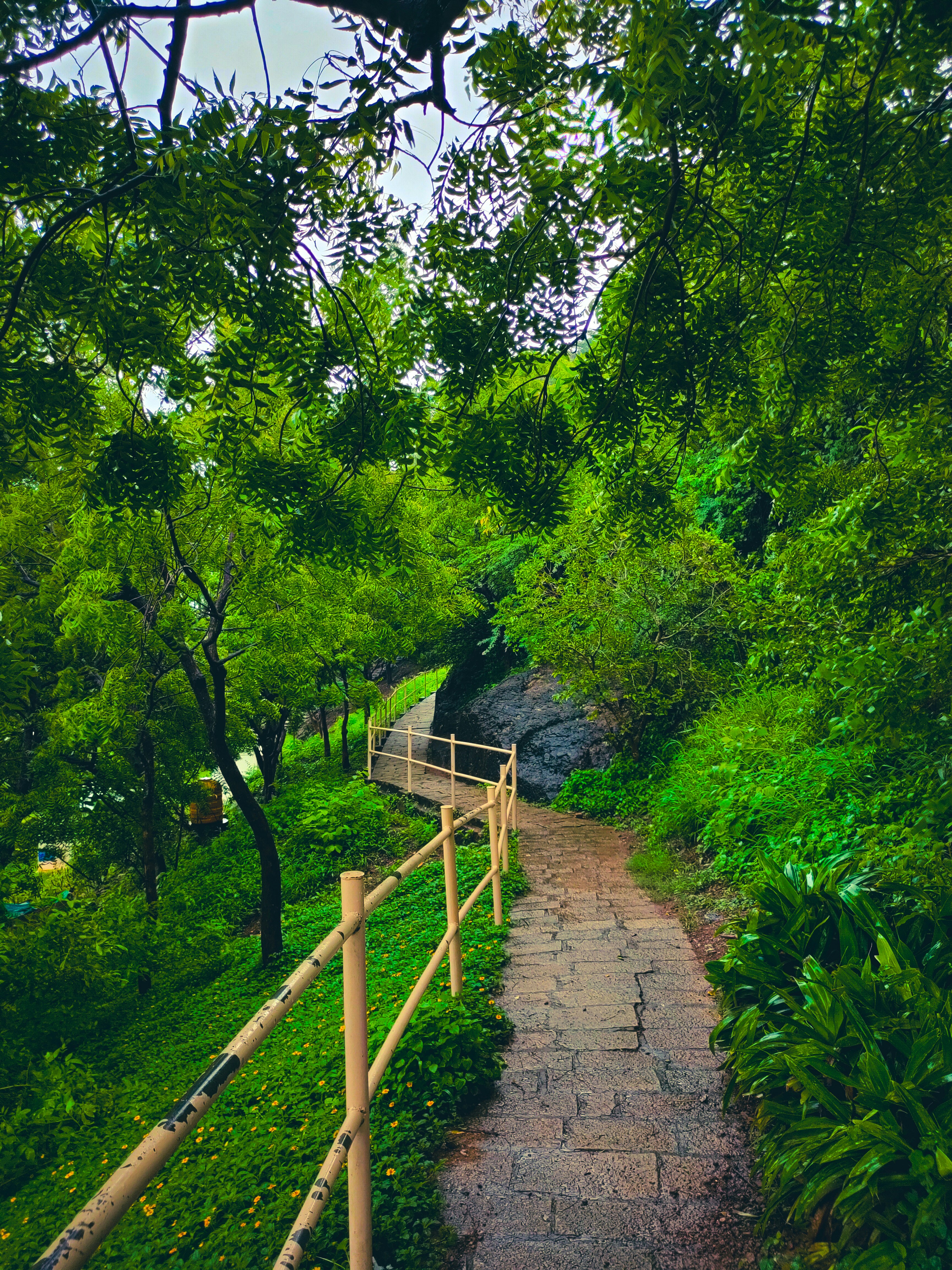 Photo by anandramavath_786