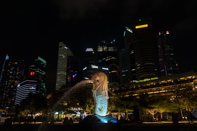 Singapore skyline at dusk symbolizing the local roots of the association.