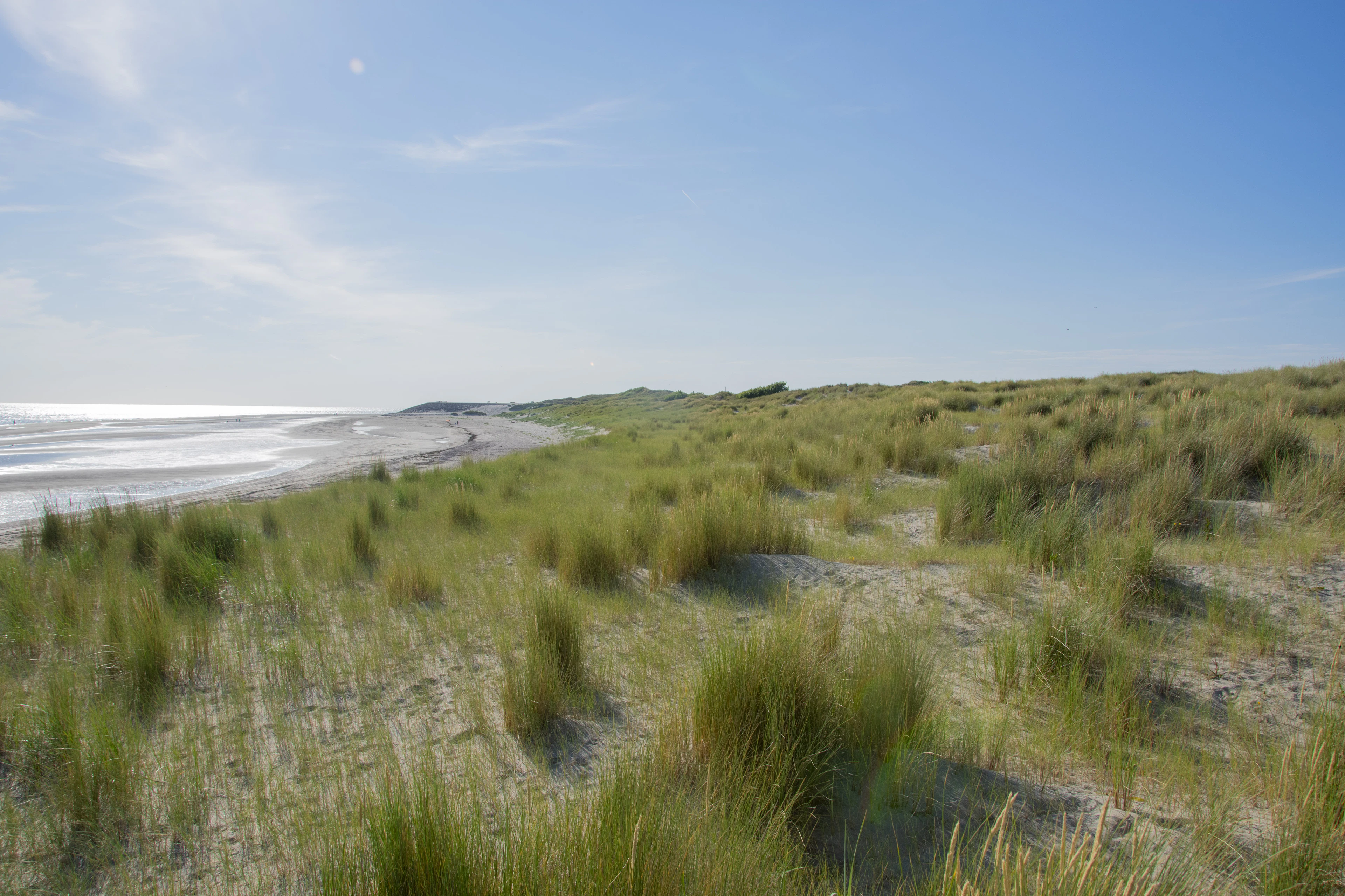 Foto aus Zeeland
