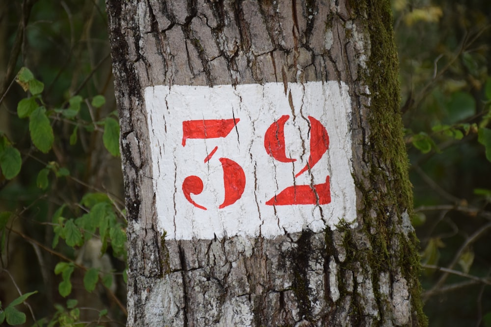 a red and white sign on a tree in the woods