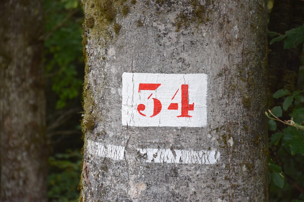 a sign that is on the side of a tree