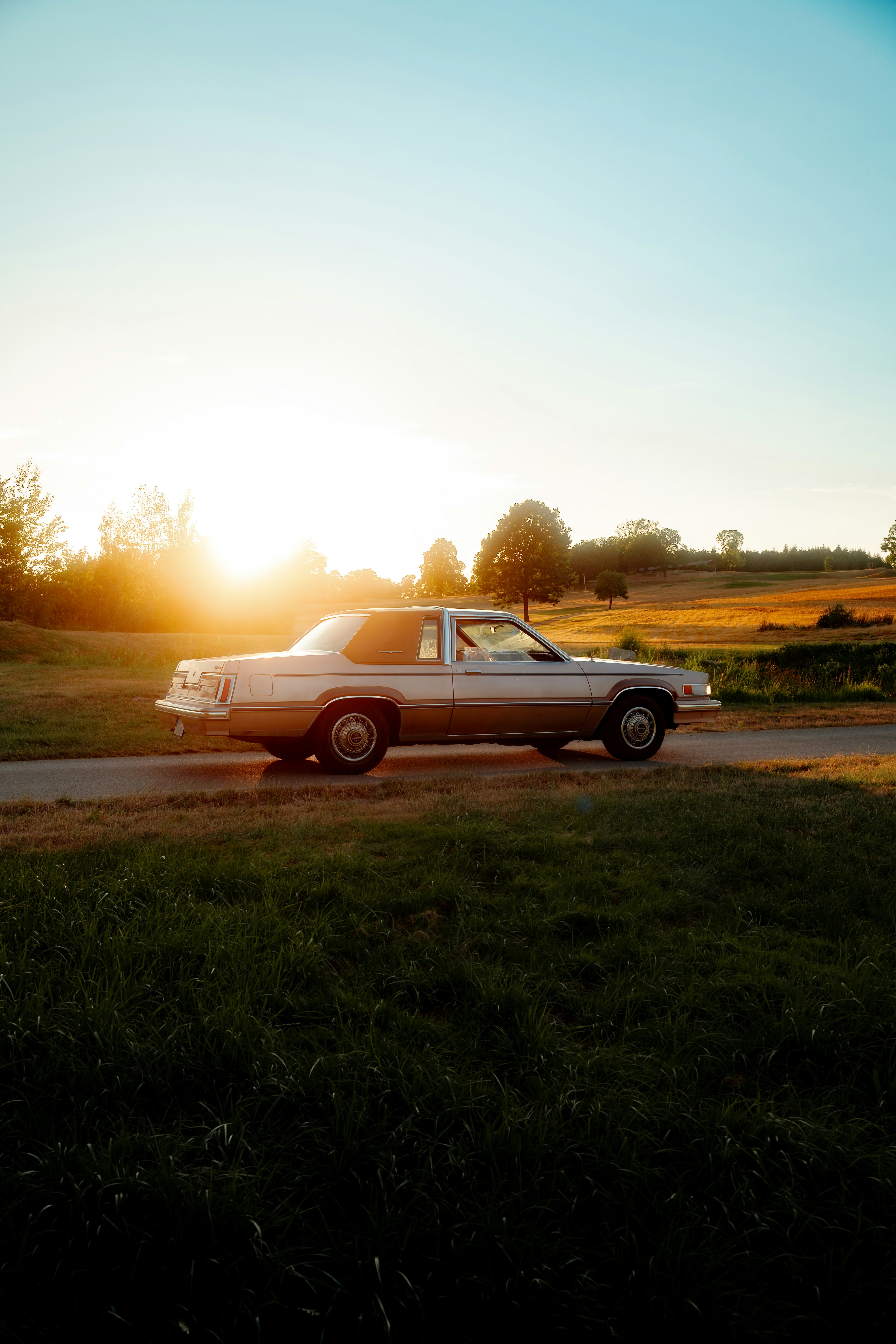 Photo by venajeborec