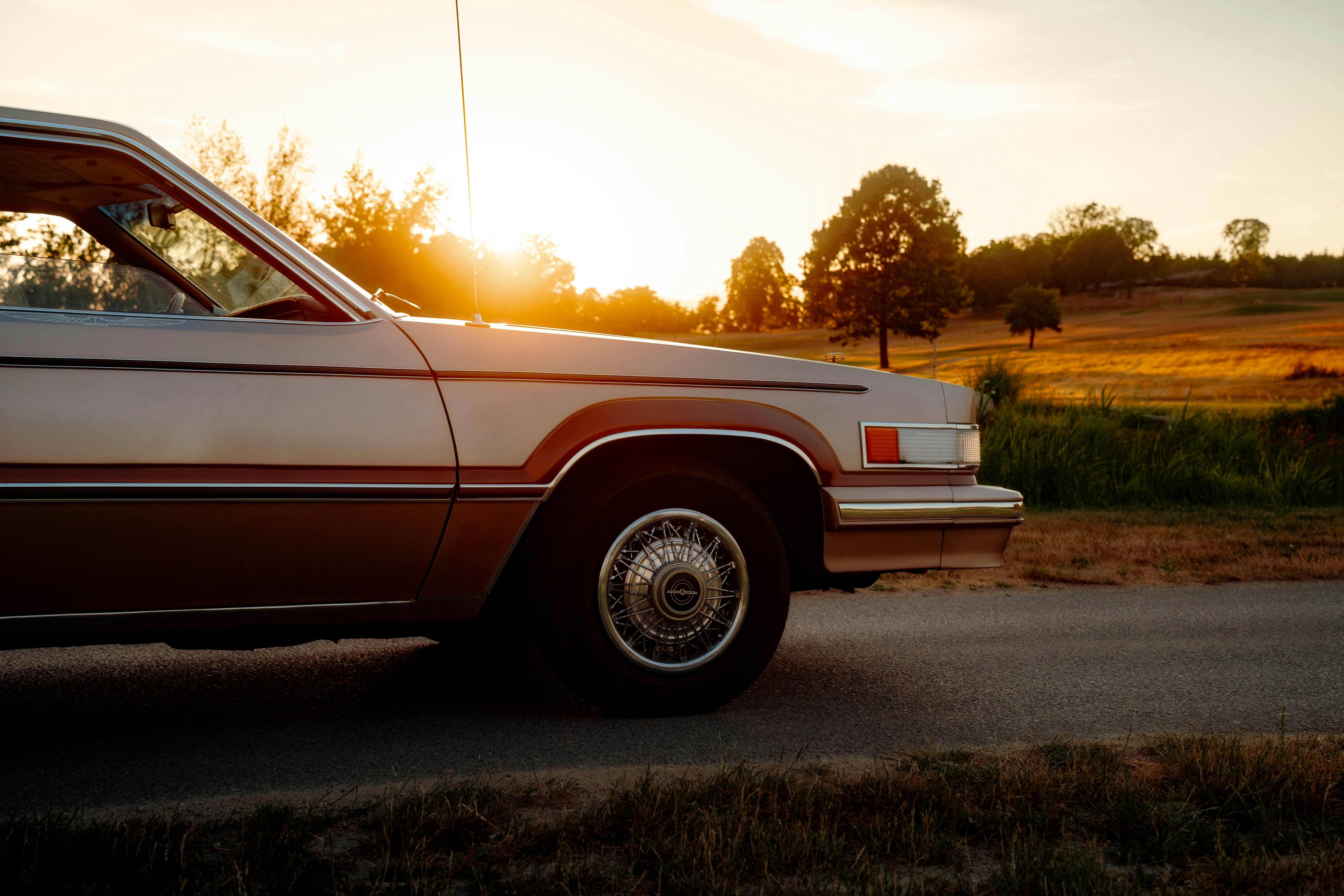 Thunderbird Cloud and email solutions