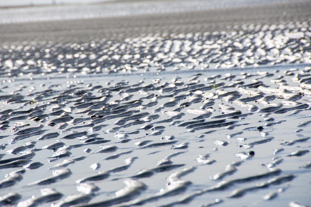 Une plage couverte de beaucoup de gouttes d’eau