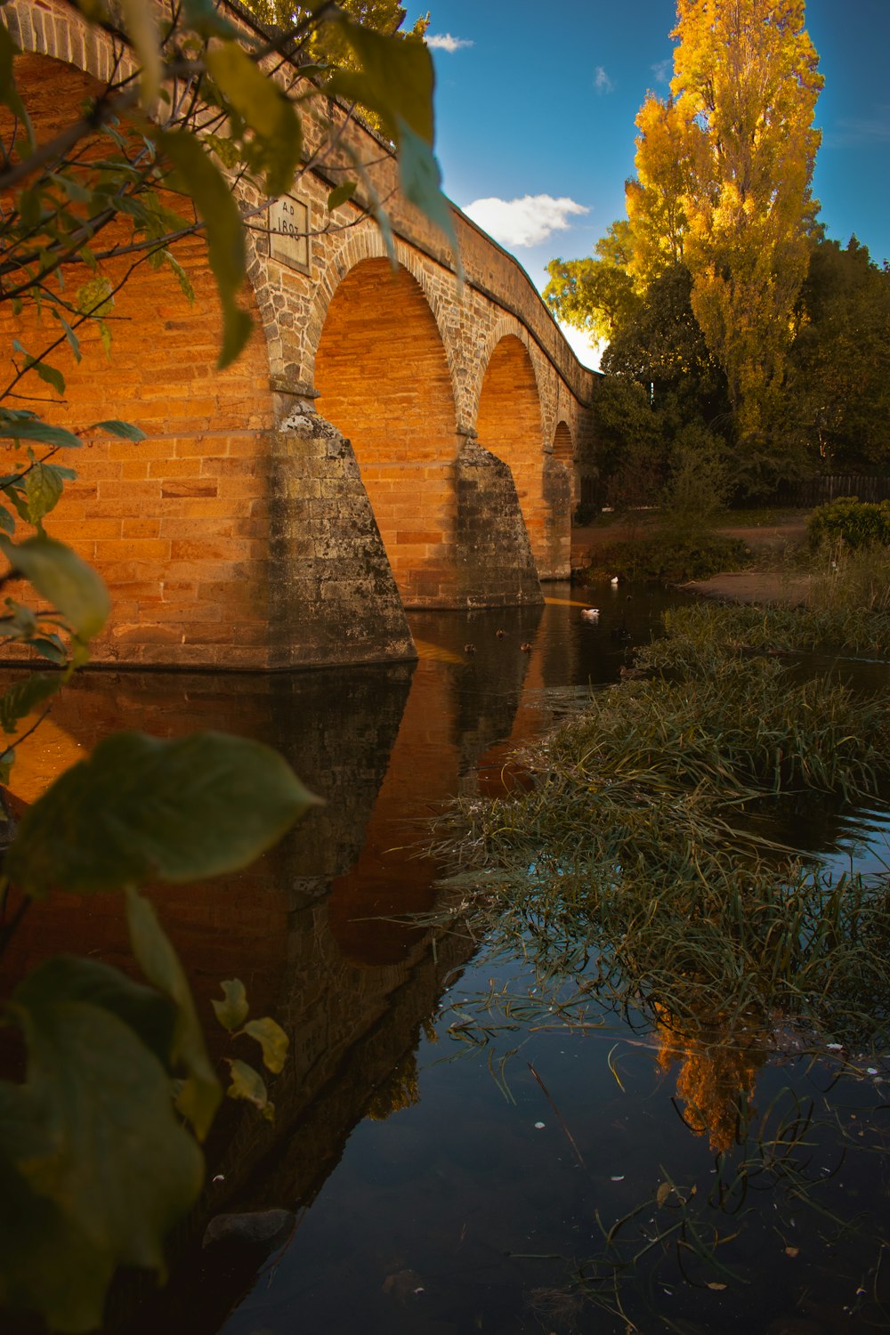 a bridge over a body of water with trees in the background