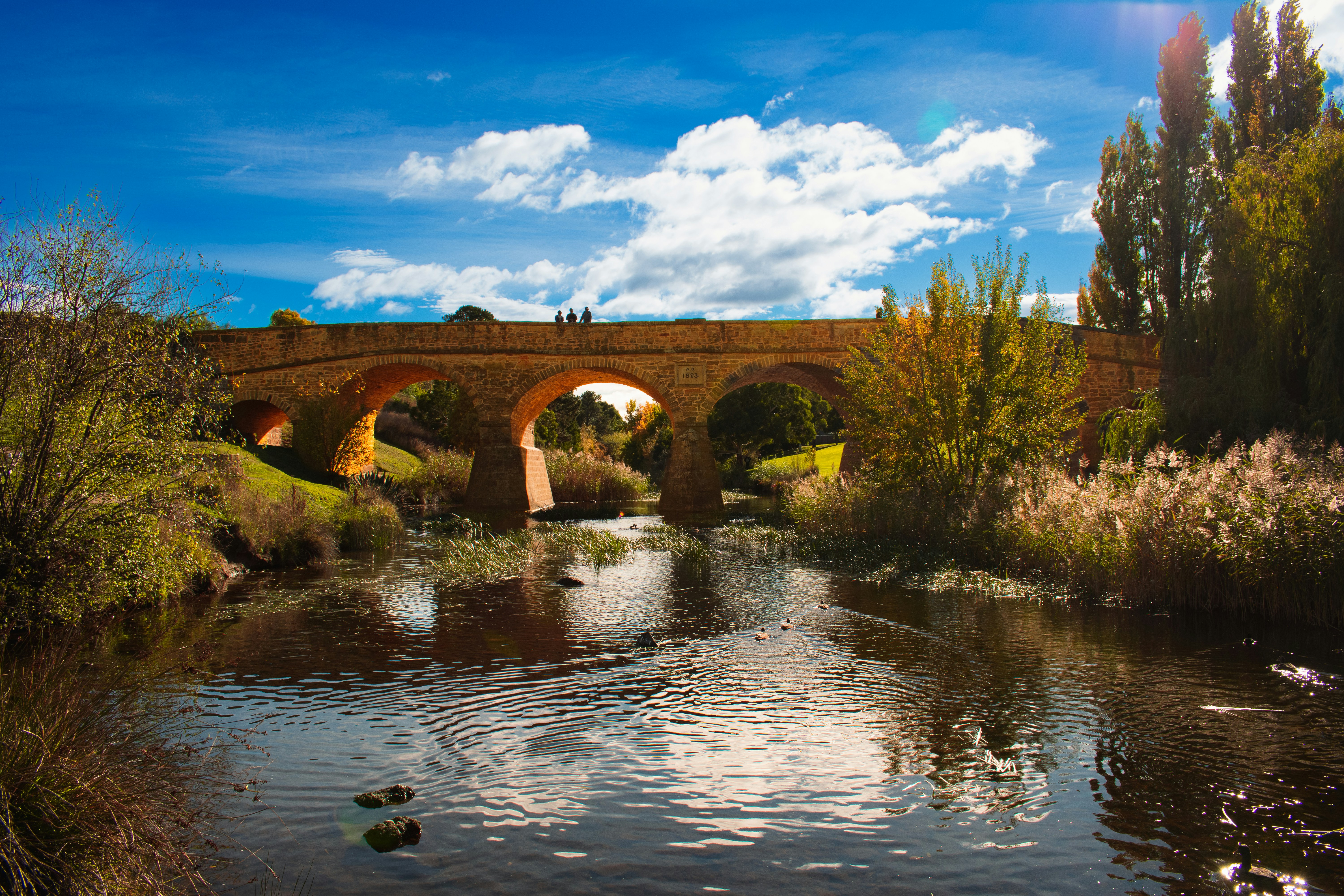 Photo by marcelosanchez