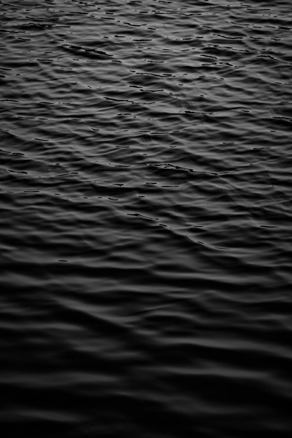 a black and white photo of a body of water