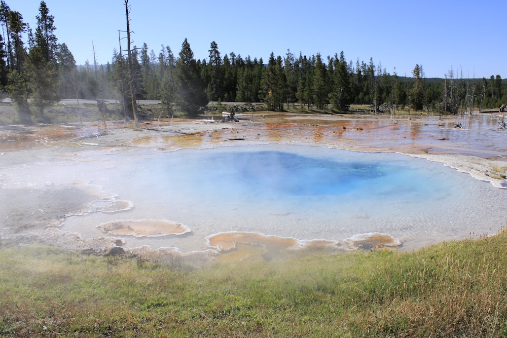 a large pool of water surrounded by trees