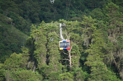 a cable car in the middle of a forest