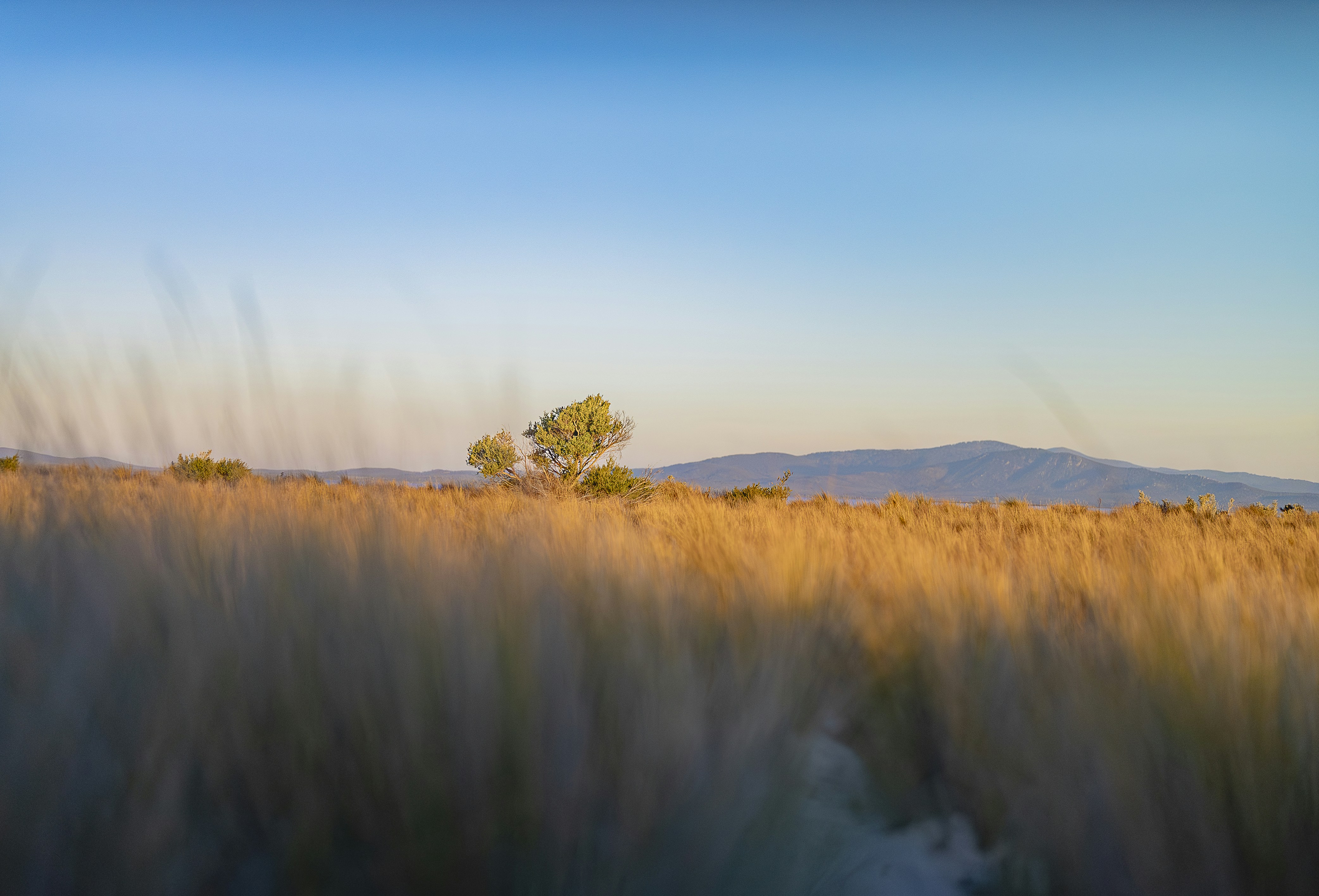 Photo by sd_99photography