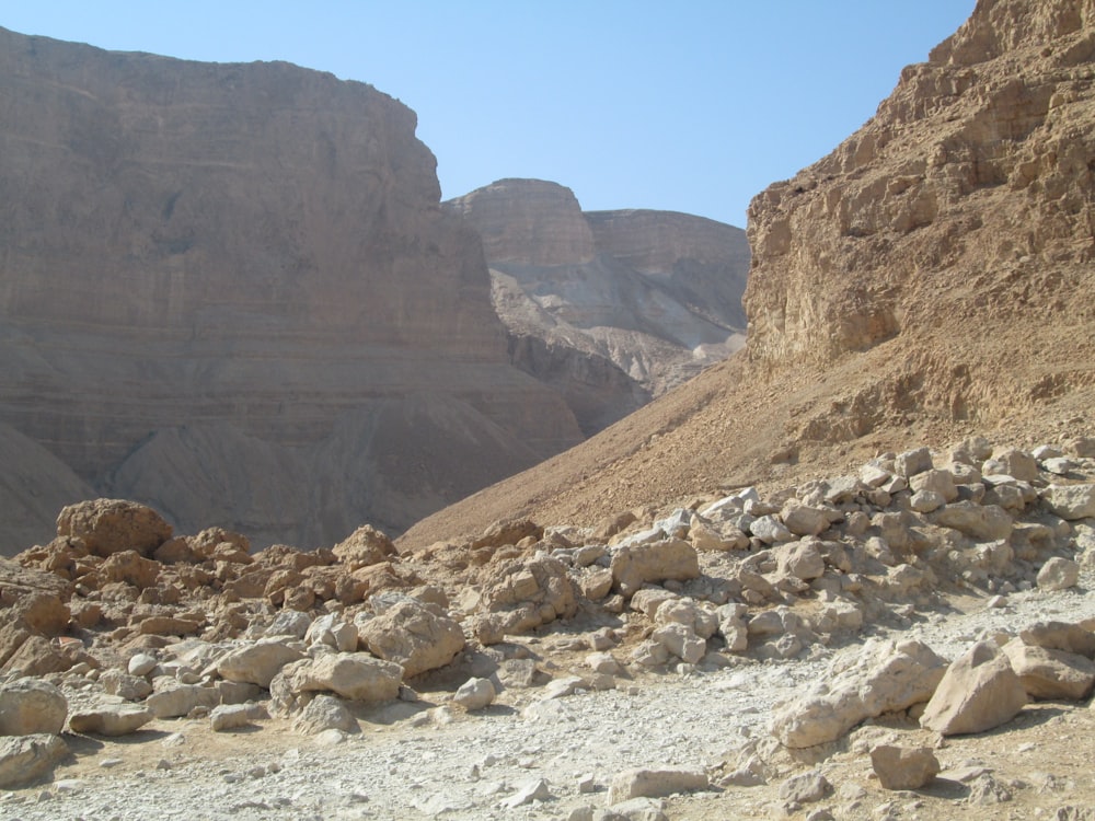 a rocky area with a mountain in the background