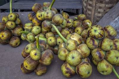 A large pile of green and brown round fruits or vegetables with thick stems is arranged on the ground. The fruits have a glossy appearance, indicating ripeness, and are clustered closely together. A woven basket is partially visible in the background, along with wooden planks and a concrete surface.