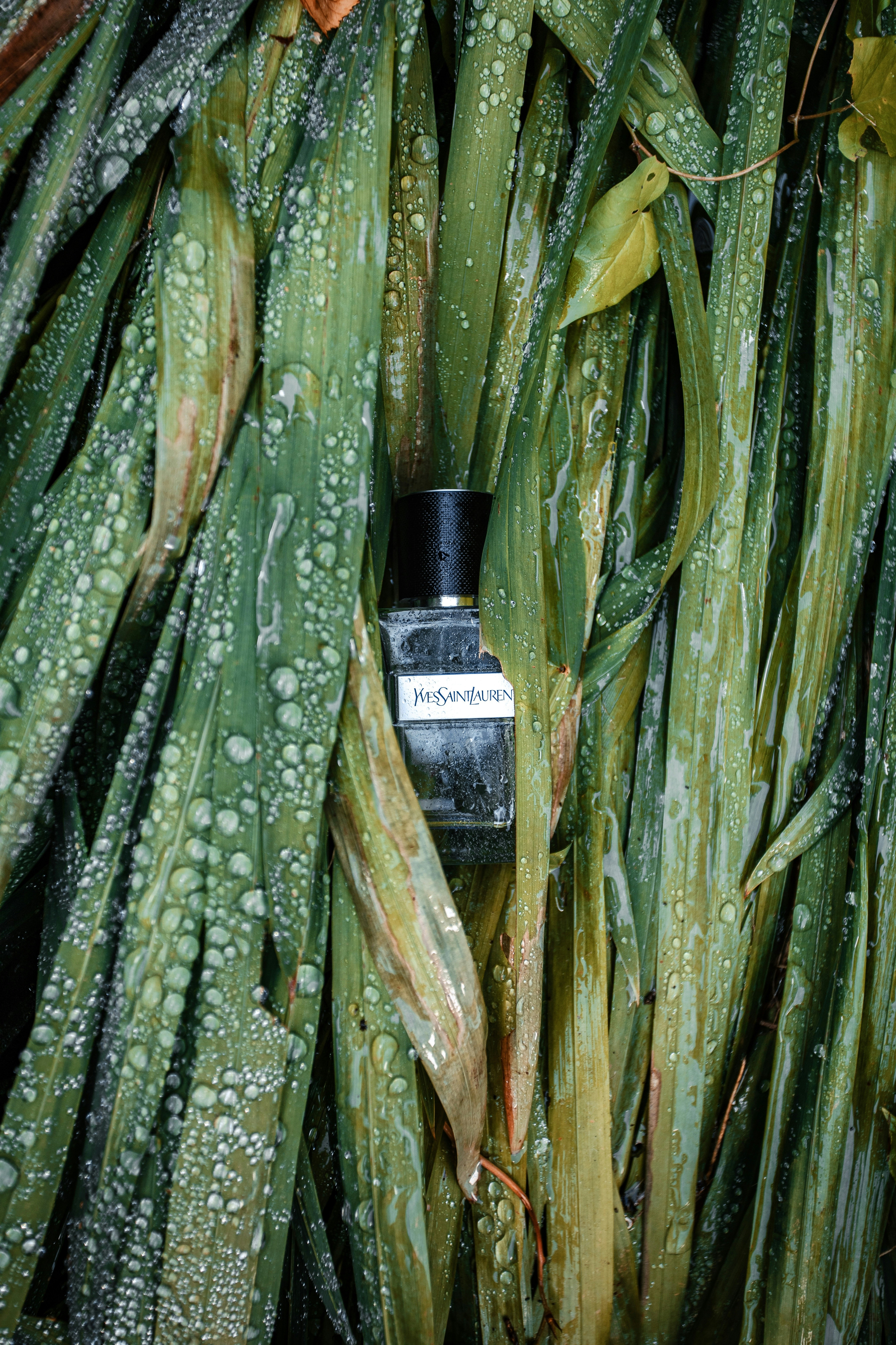 Gentle Hydrating Serum