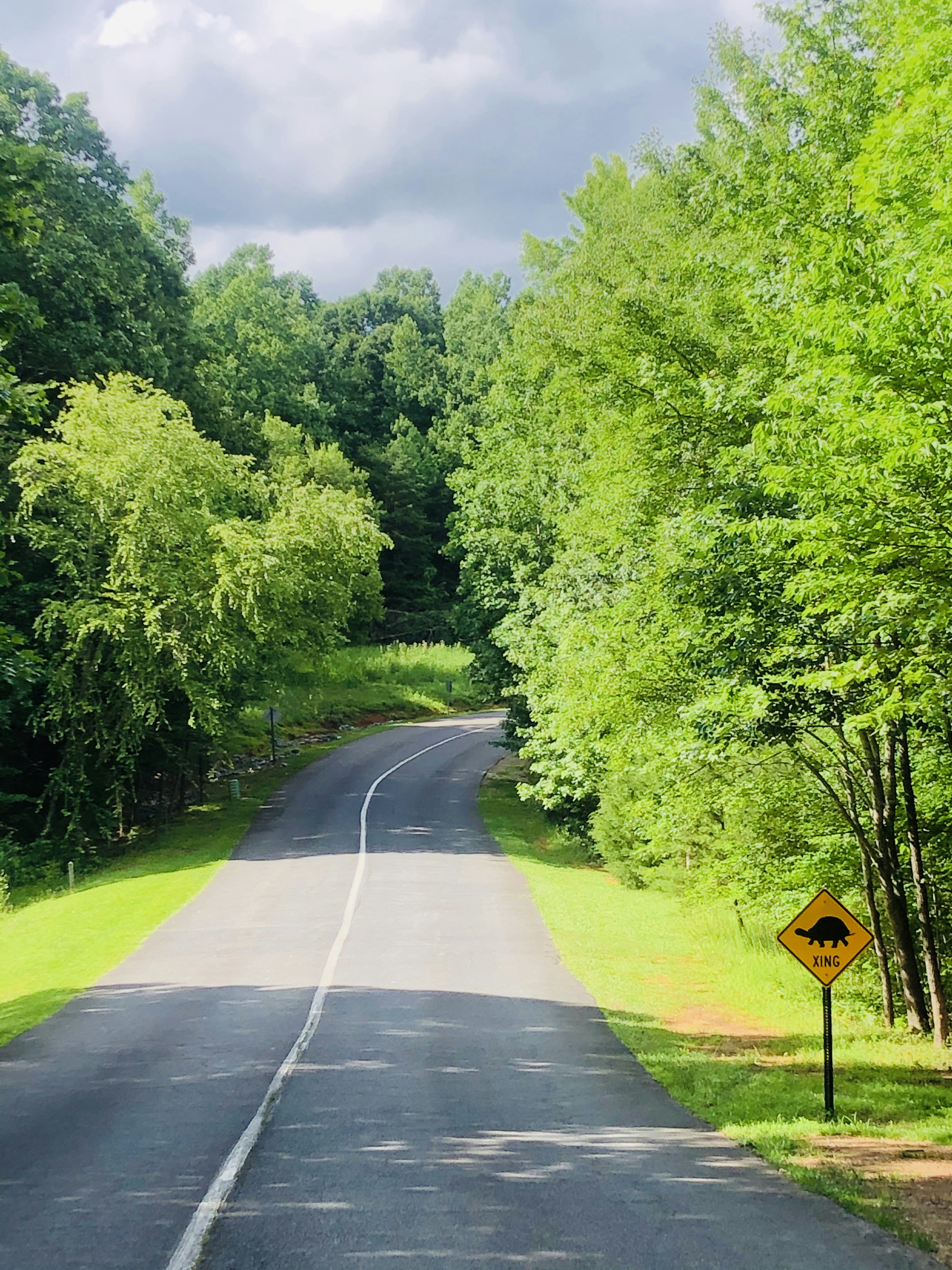 Photo by quirkswitthecamera