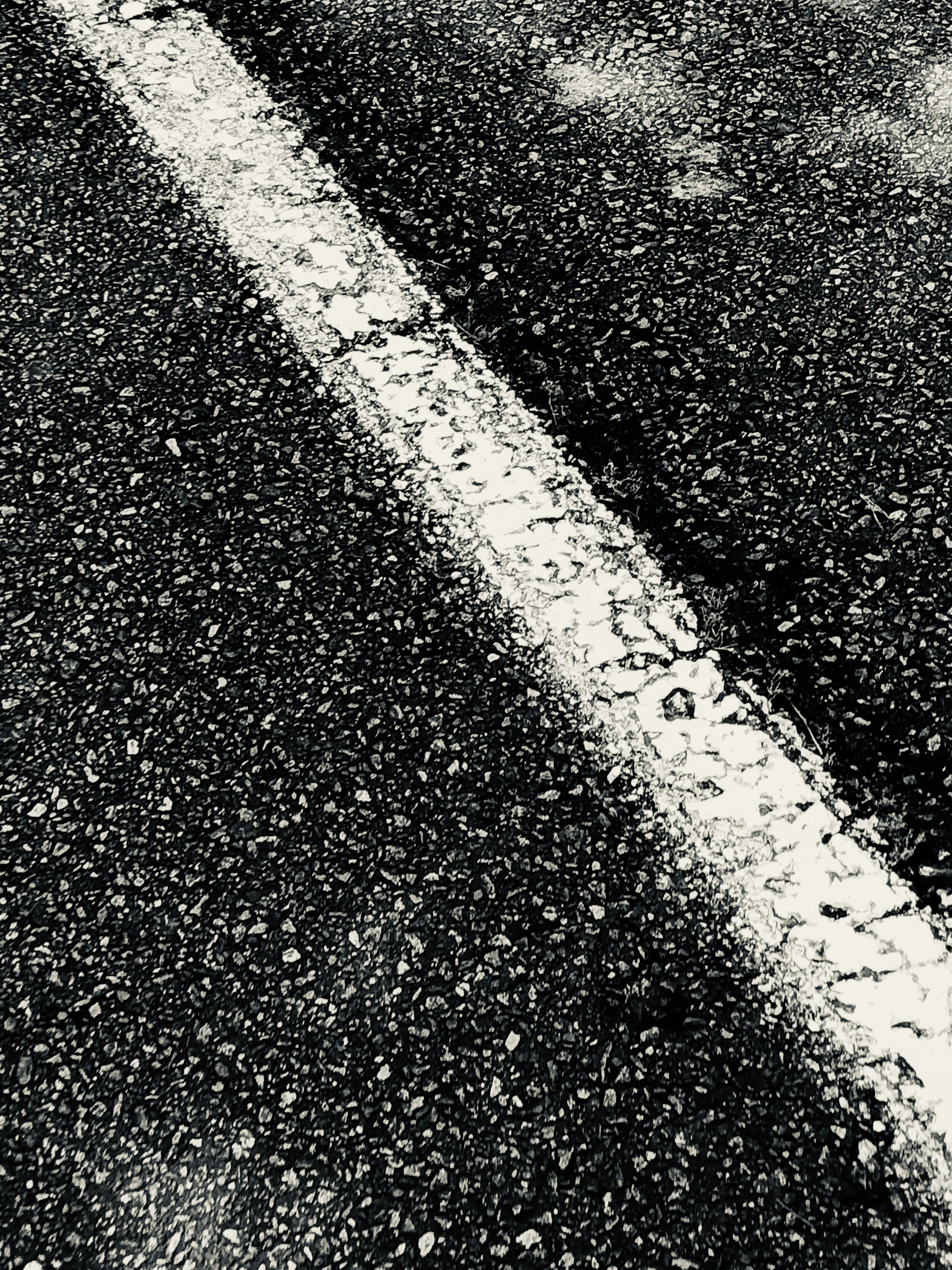 Photo by quirkswitthecamera