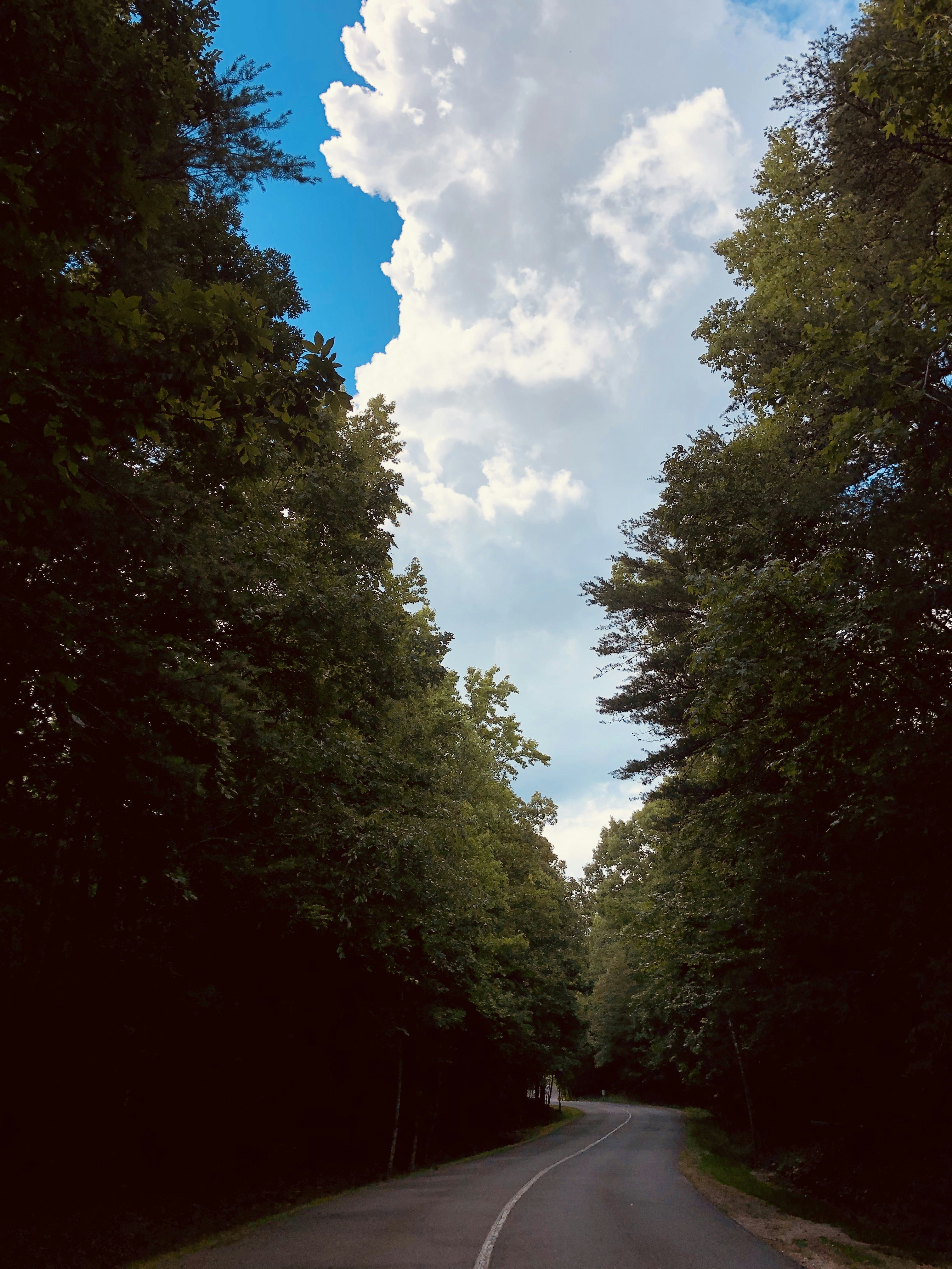 Photo by quirkswitthecamera