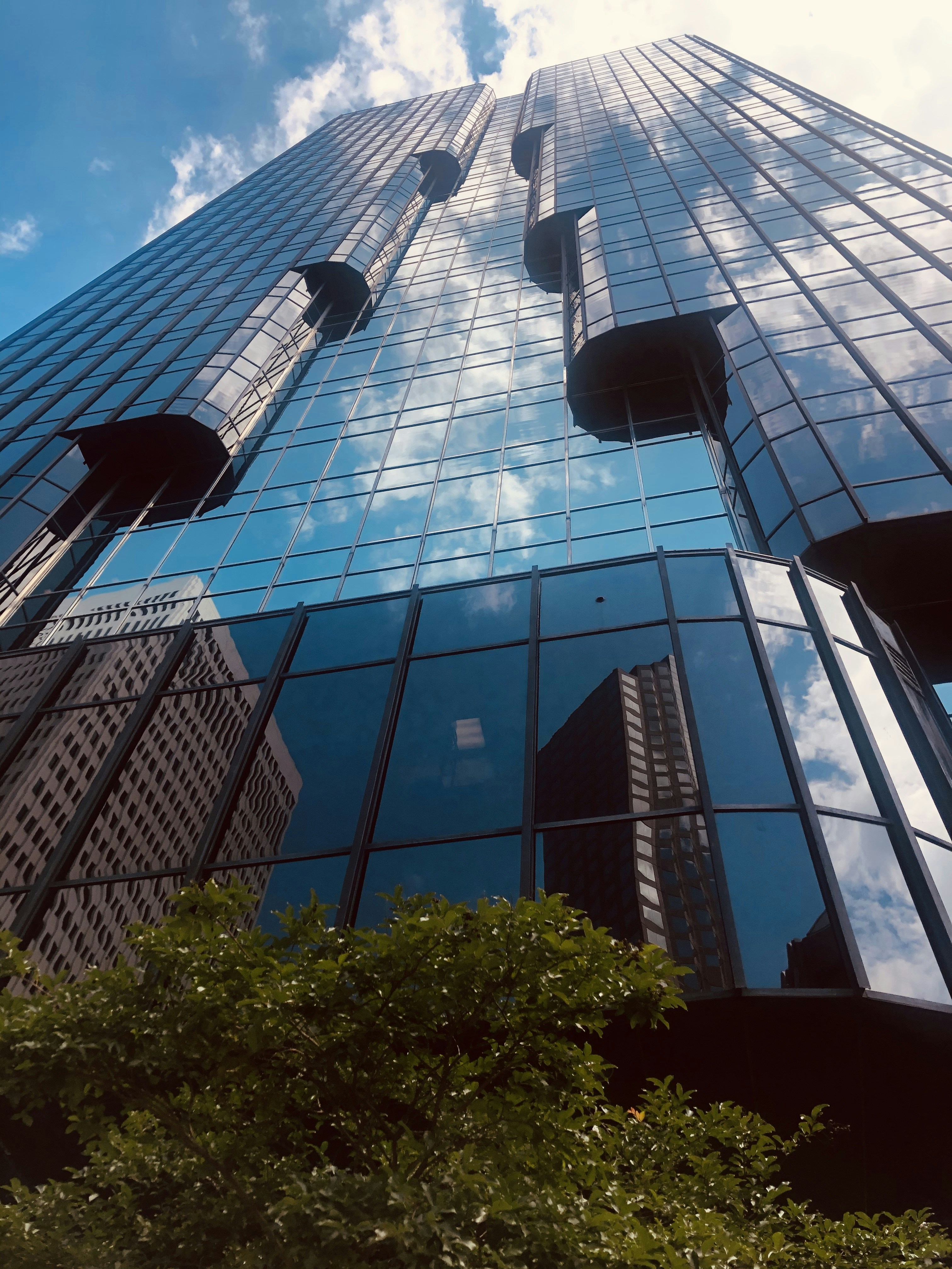 Photo by quirkswitthecamera