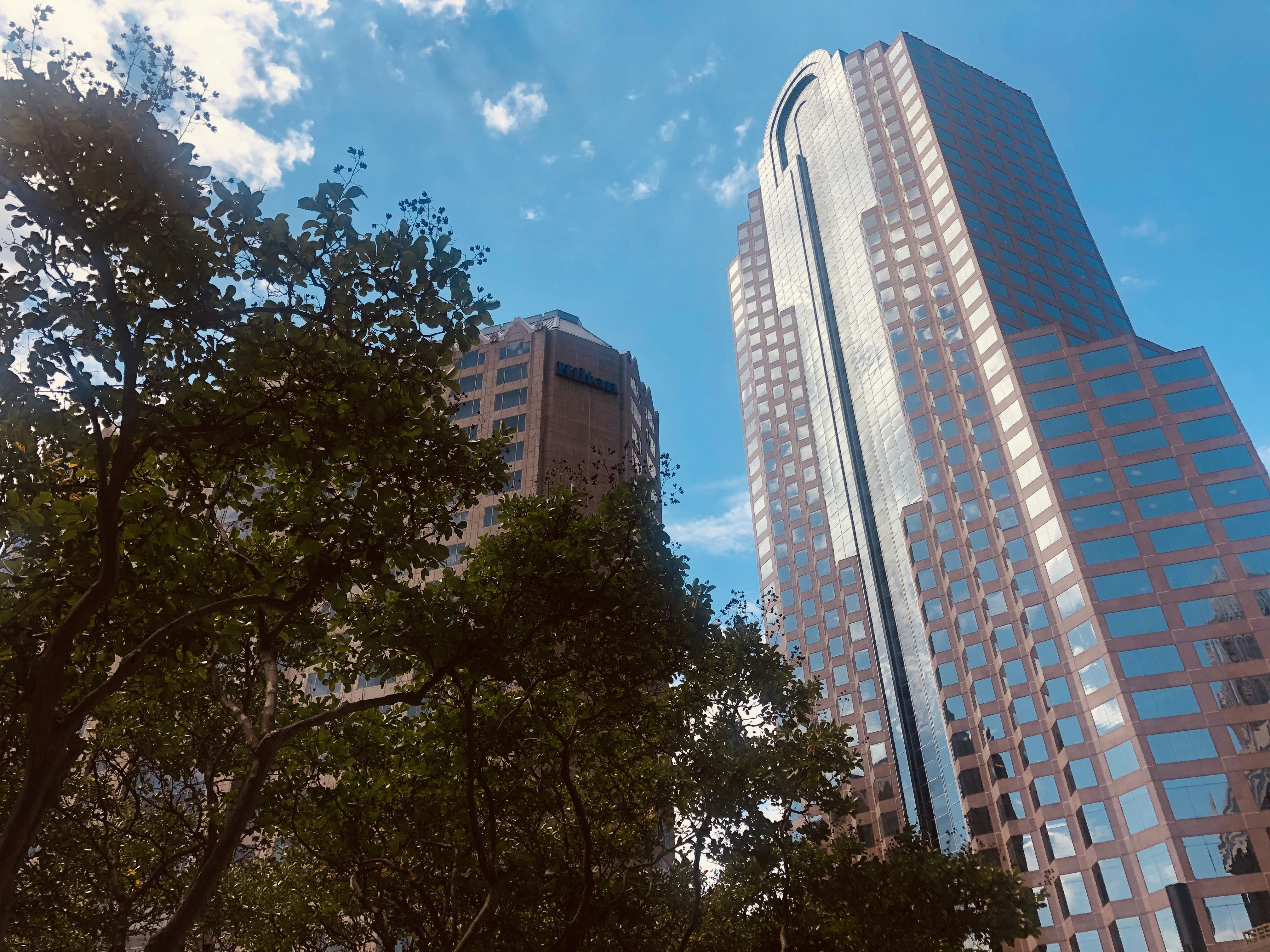 Photo by quirkswitthecamera