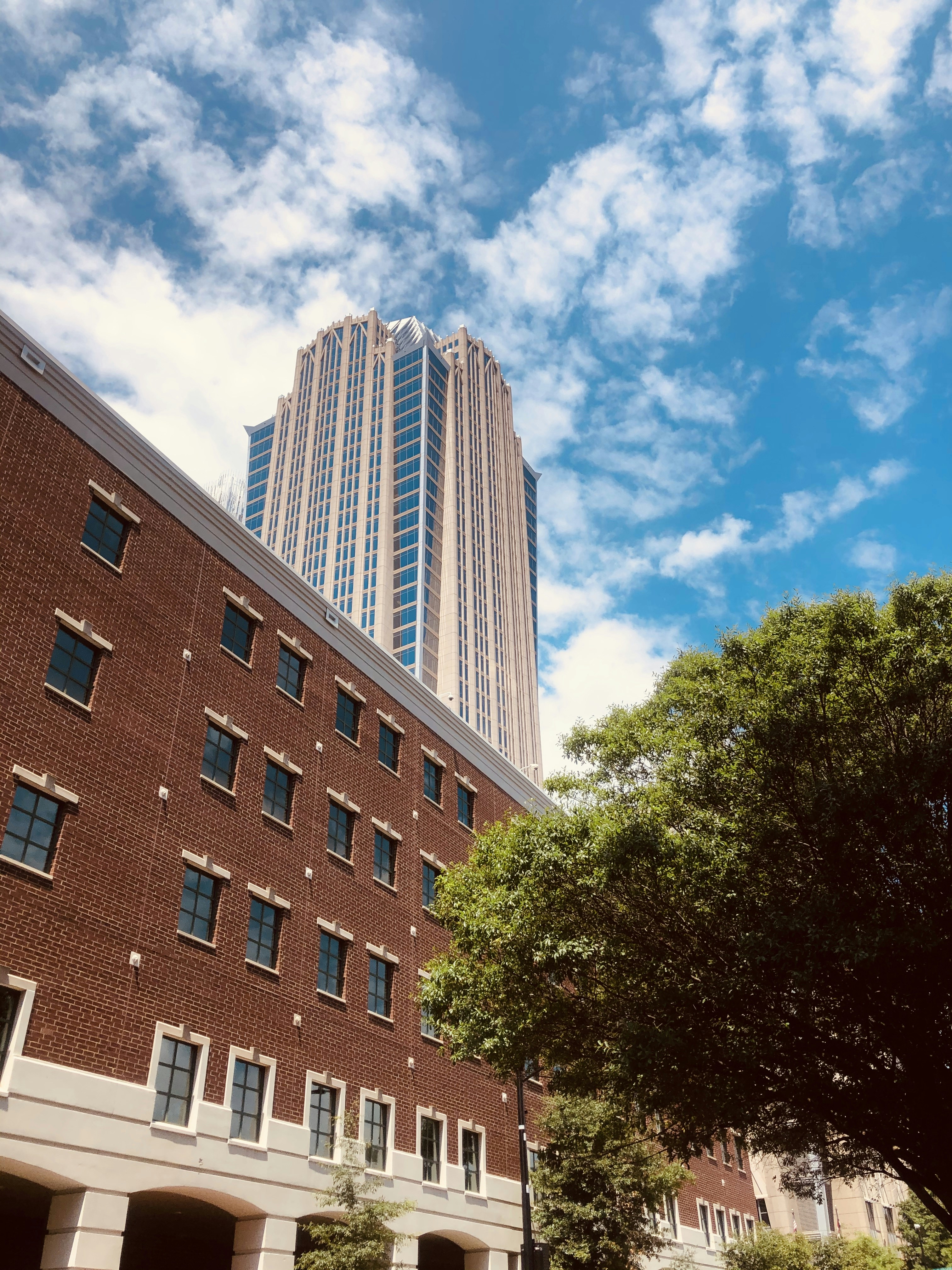 Photo by quirkswitthecamera