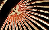 An ornate decorative design features a stylized bird in the center, surrounded by radiating patterns of red and beige waves. The bird appears to be carved or molded, positioned against a dark background with a series of intricately detailed rays emanating outward.