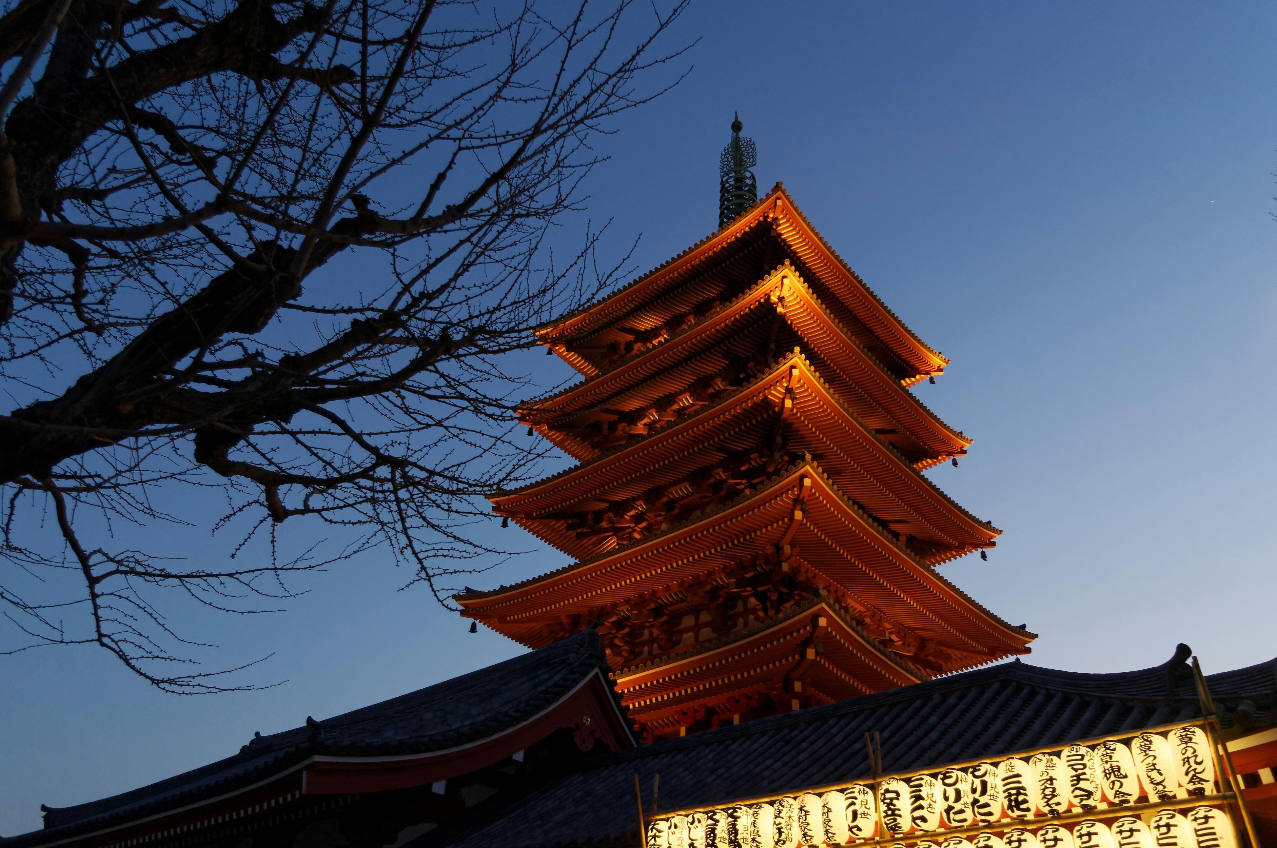 Photo by da_shika_photo