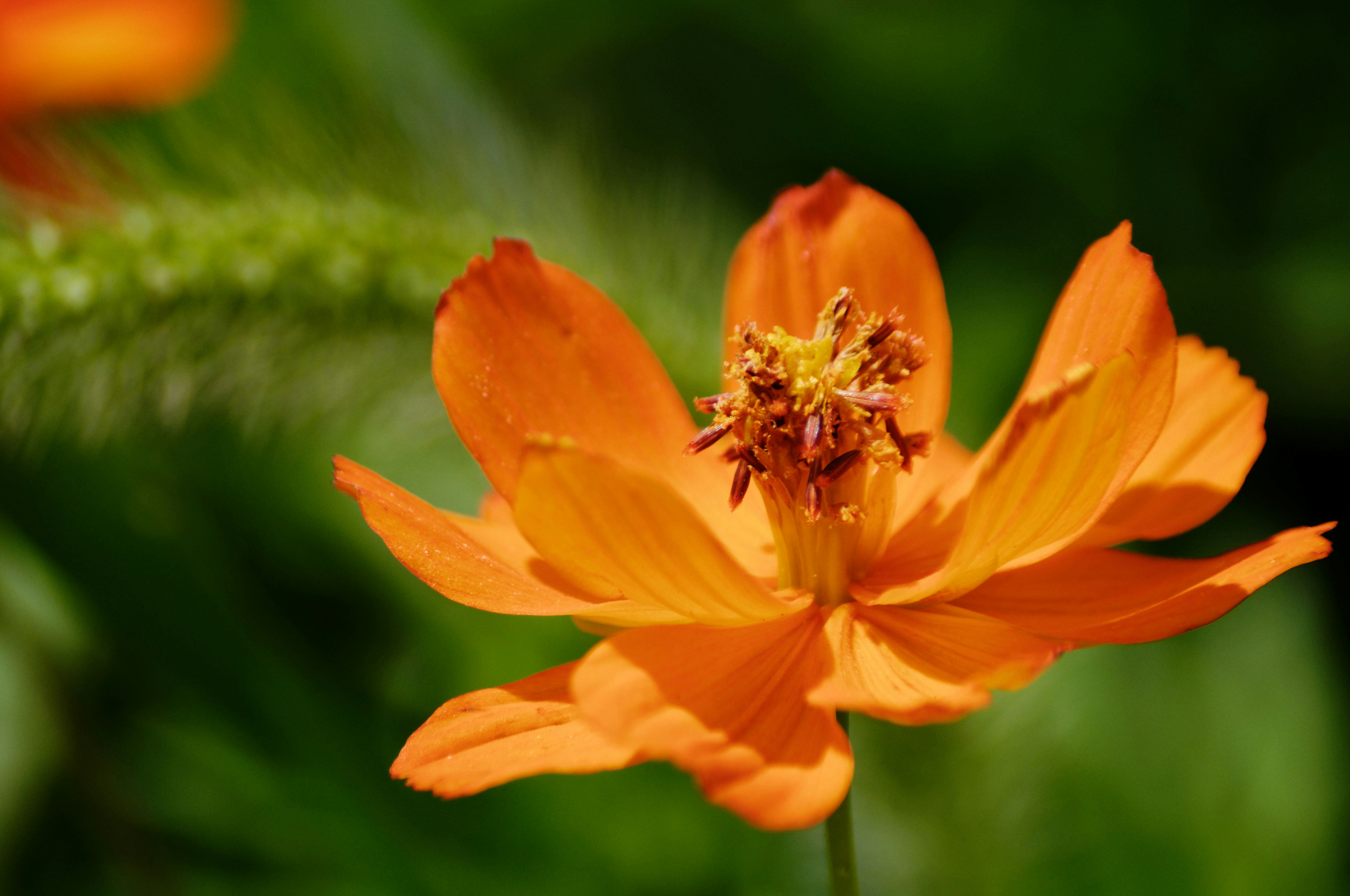 Photo by da_shika_photo