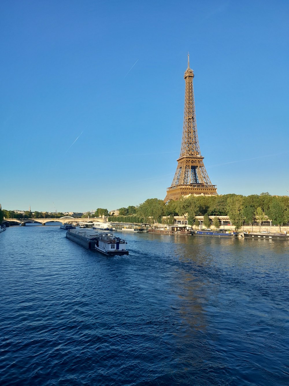 the eiffel tower towering over the city of paris