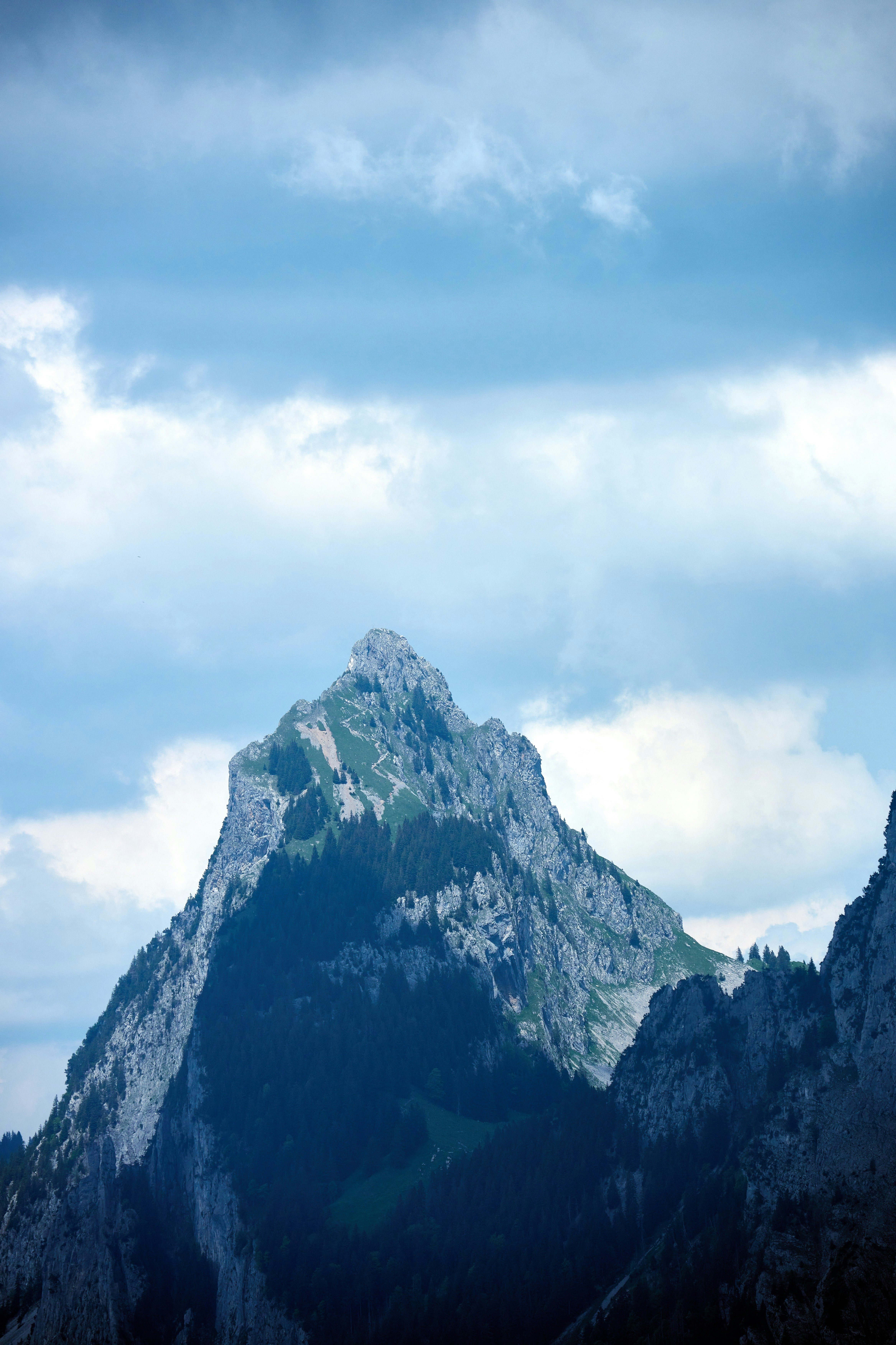 Photo by wolfgang_hasselmann