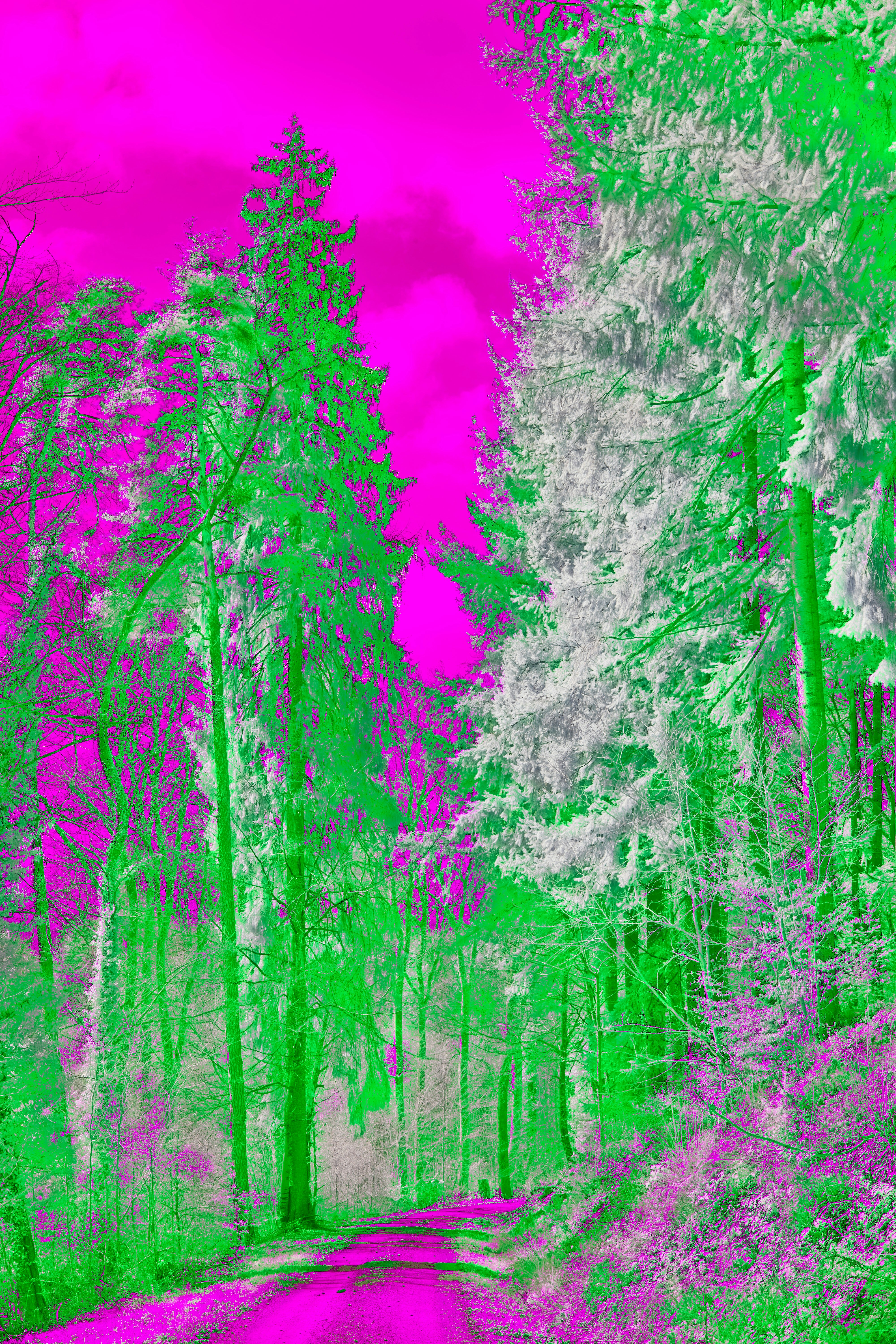 Photo by wolfgang_hasselmann