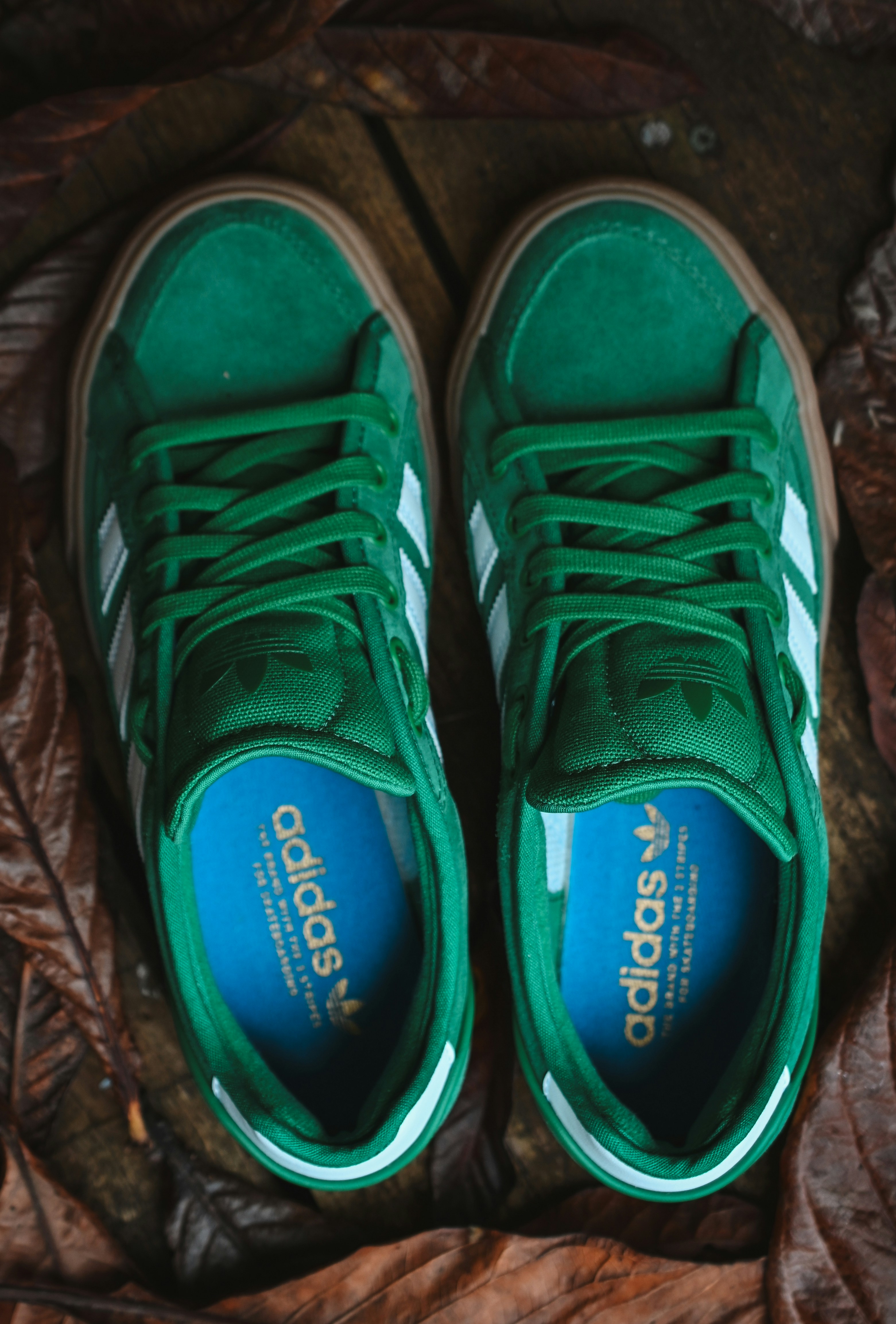 A pair of green sneakers sitting on top of a leaf covered ground photo ...