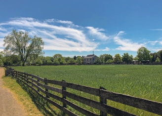 A rustic wooden fence bordering a vibrant green field with apple trees.
