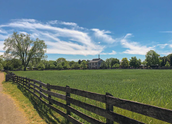 A beautifully crafted cedar farm fence stretching across a lush green field under a clear blue sky.