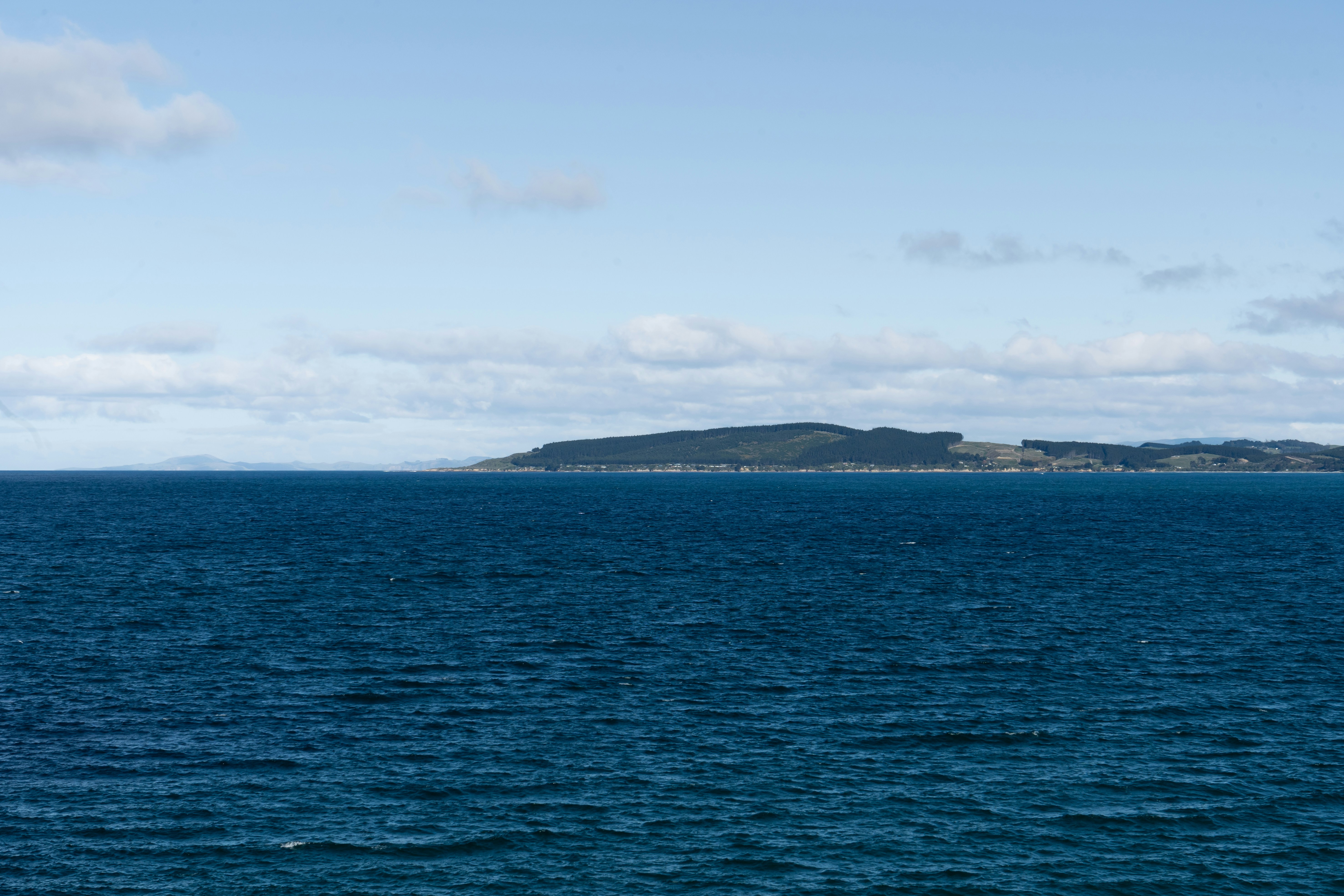 Photo by harrisonchang