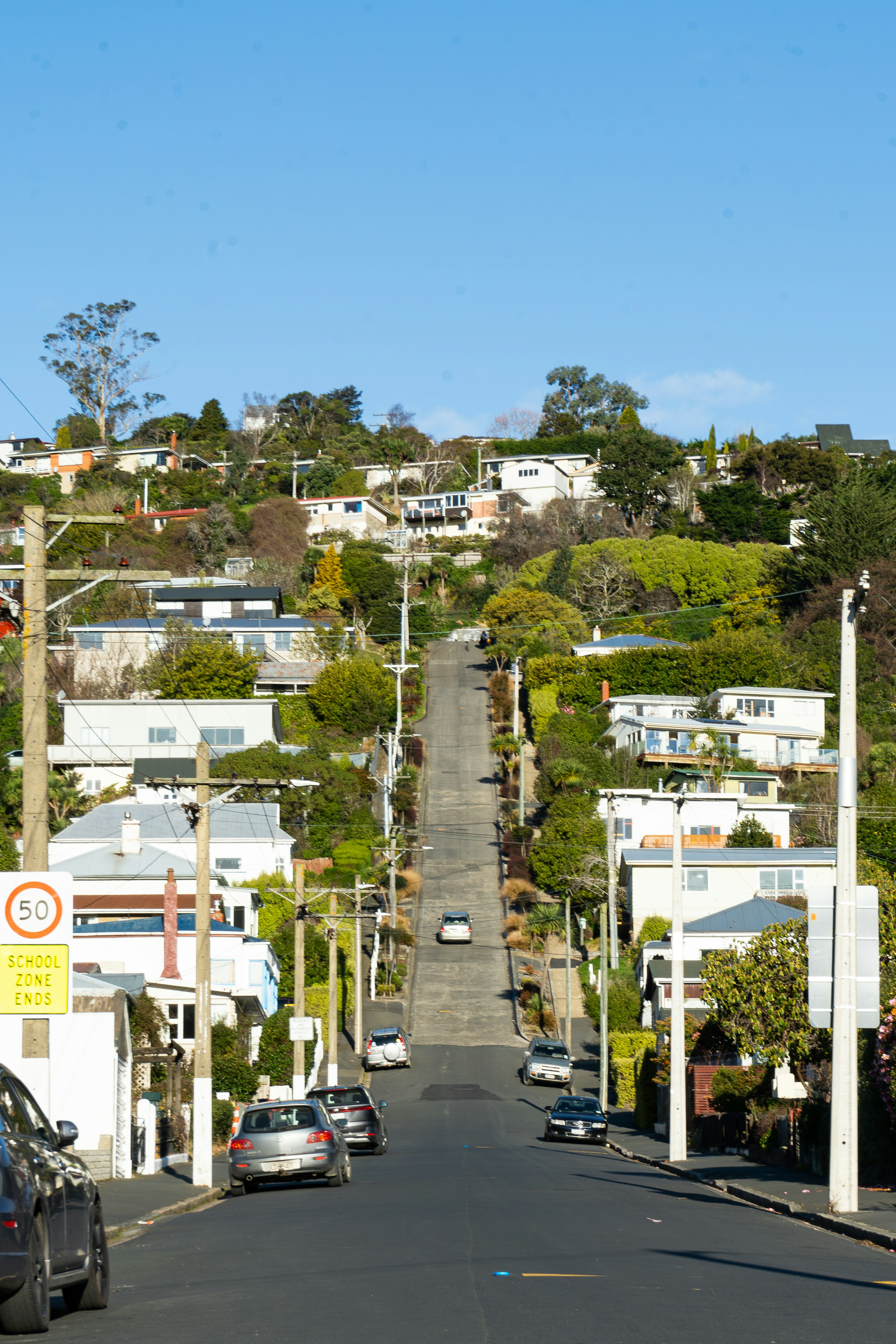 Photo by harrisonchang