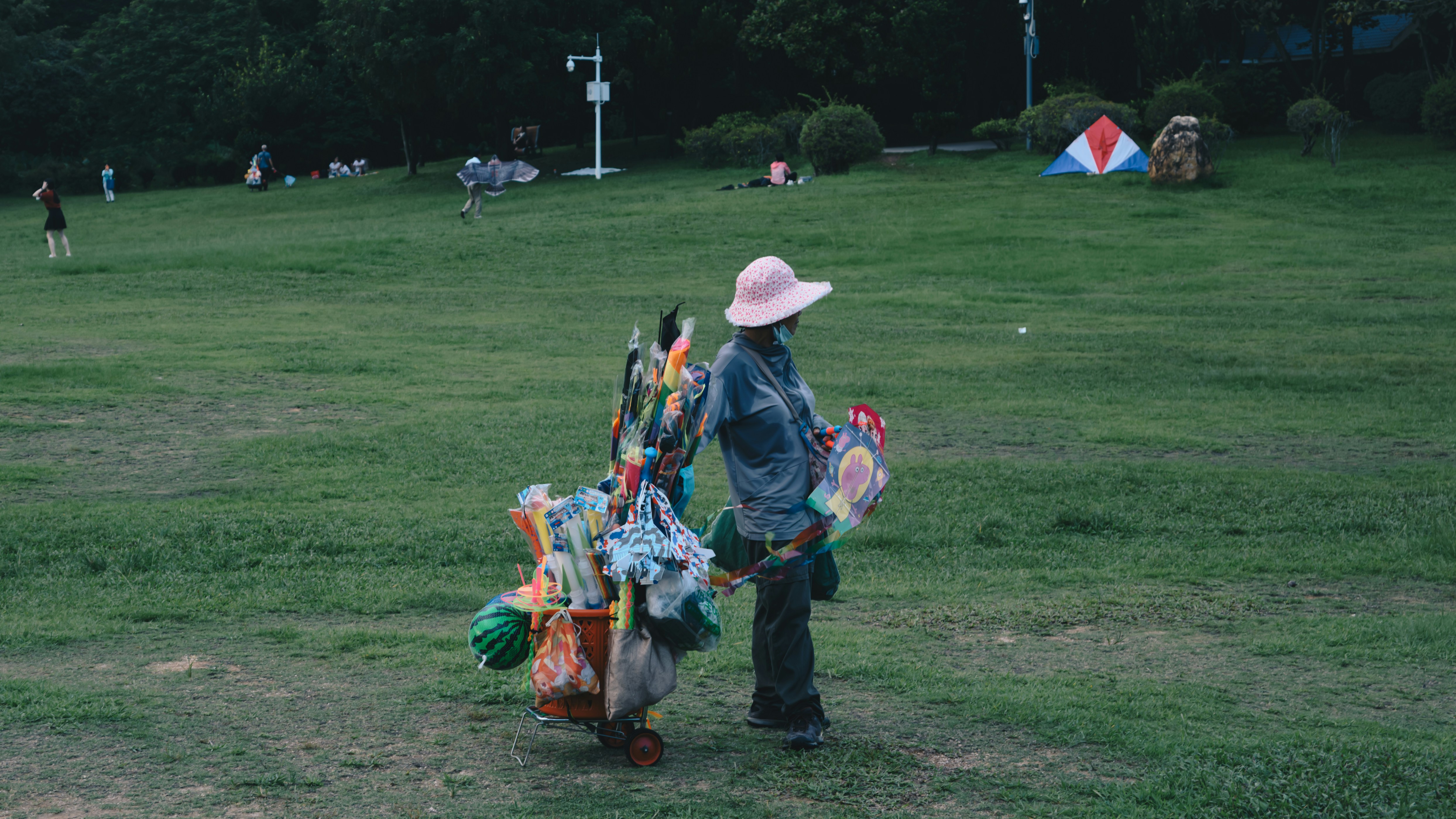 a person pushing a cart full of items in a field