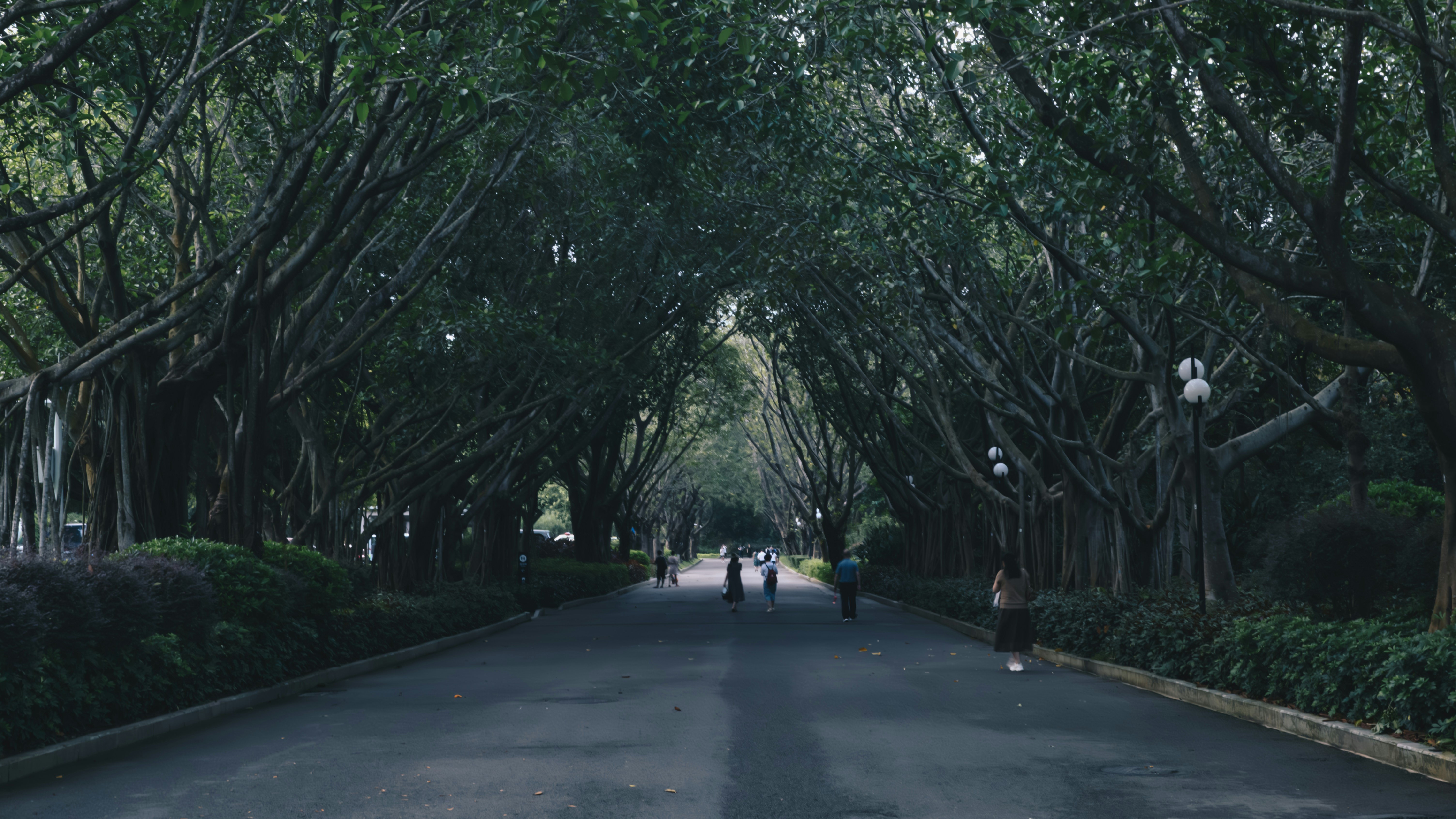 Photo by wangbinghua