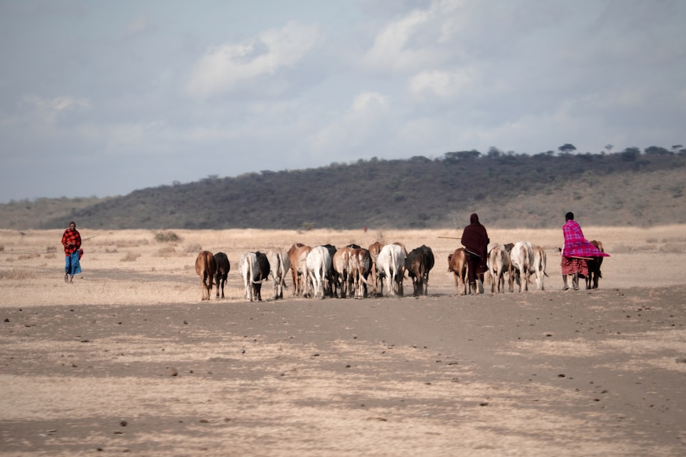 a group of people riding horses in the desert