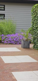 A landscaped garden features a combination of red brick and light gray stone tiles forming a pathway. Lush greenery surrounds the area, including a large leafy plant in a dark gray pot and a vibrant patch of purple flowers against a gray exterior wall. Ivy climbs along one side of the space.