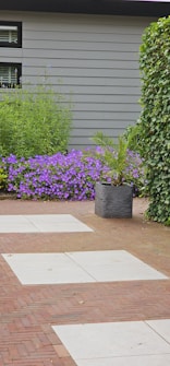 A landscaped garden features a combination of red brick and light gray stone tiles forming a pathway. Lush greenery surrounds the area, including a large leafy plant in a dark gray pot and a vibrant patch of purple flowers against a gray exterior wall. Ivy climbs along one side of the space.