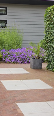 A landscaped garden features a combination of red brick and light gray stone tiles forming a pathway. Lush greenery surrounds the area, including a large leafy plant in a dark gray pot and a vibrant patch of purple flowers against a gray exterior wall. Ivy climbs along one side of the space.