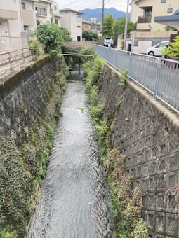 A narrow concrete irrigation channel runs through a residential area. It is lined with greenery and bushes along the sides, with residential buildings on either side. The channel shows clear flowing water, and there is a railing along the right side for safety. In the background, cars are parked on the street, and mountains are visible in the distance.