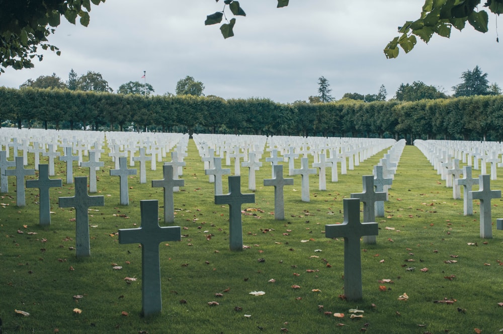 rows of crosses in a cemetery with trees in the background