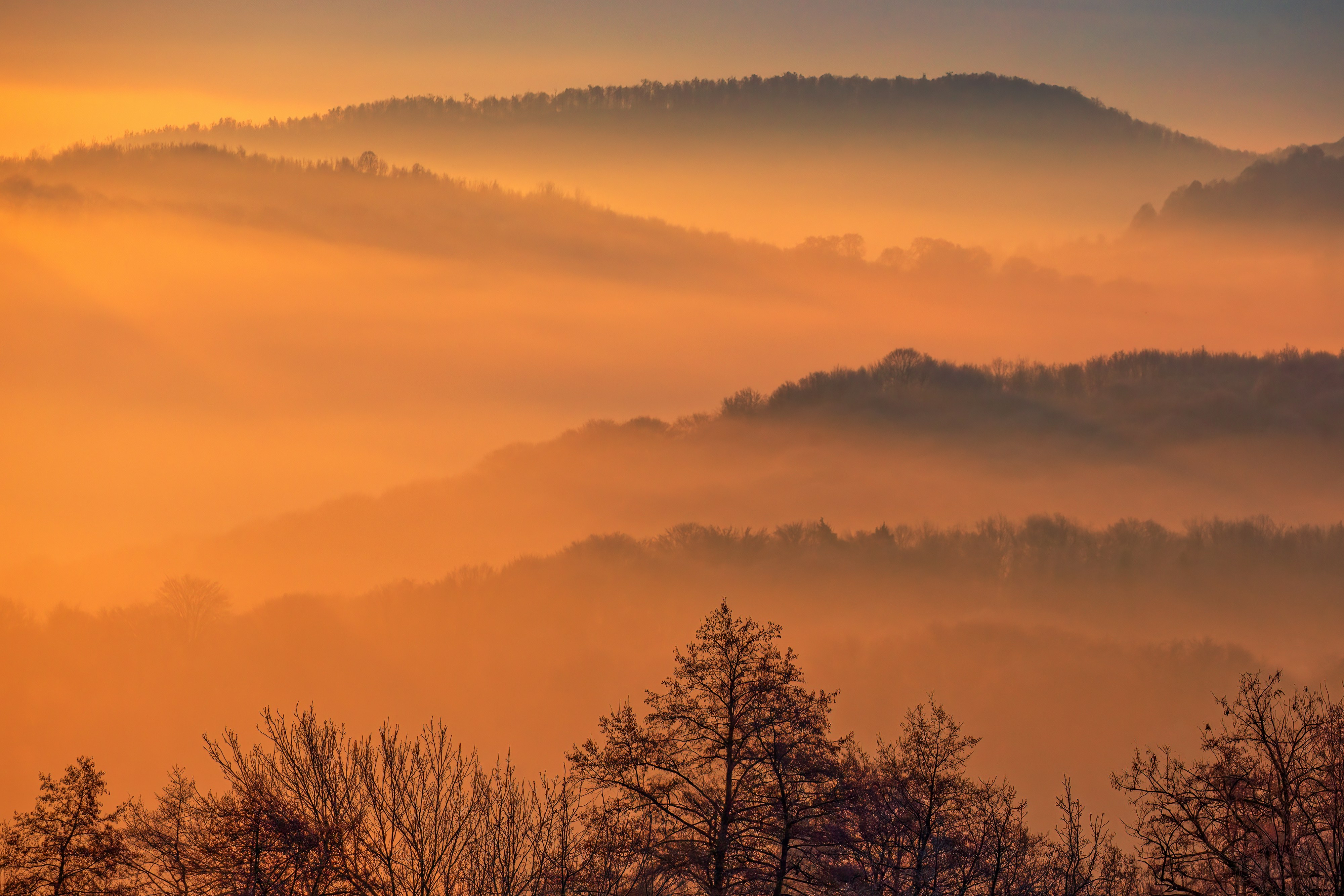 Photo by photonaturero