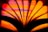 An abstract close-up of a book's pages fanned out against a vibrant, multicolored background. The pages create dark silhouettes that contrast with the orange, pink, and purple hues in the background, forming a visually striking pattern.