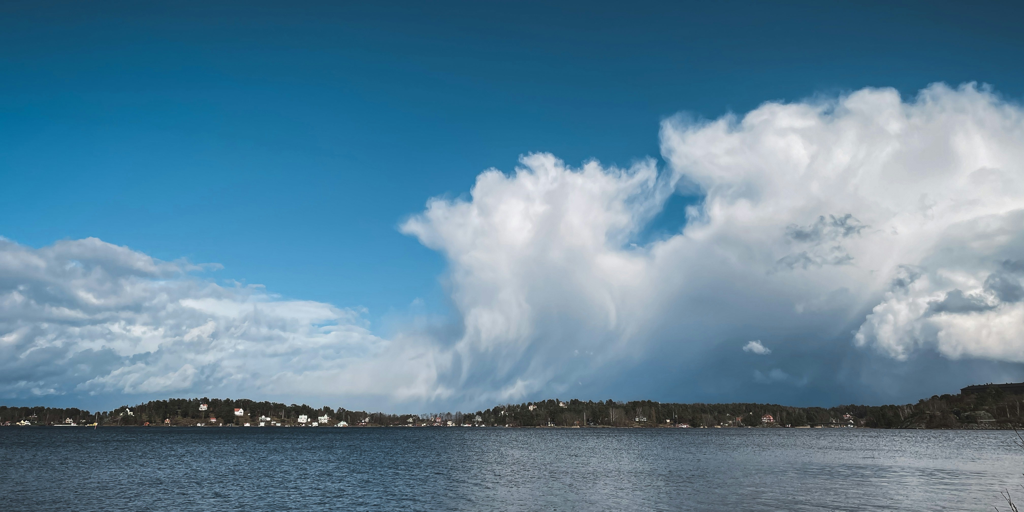 Photo by juliaelliot