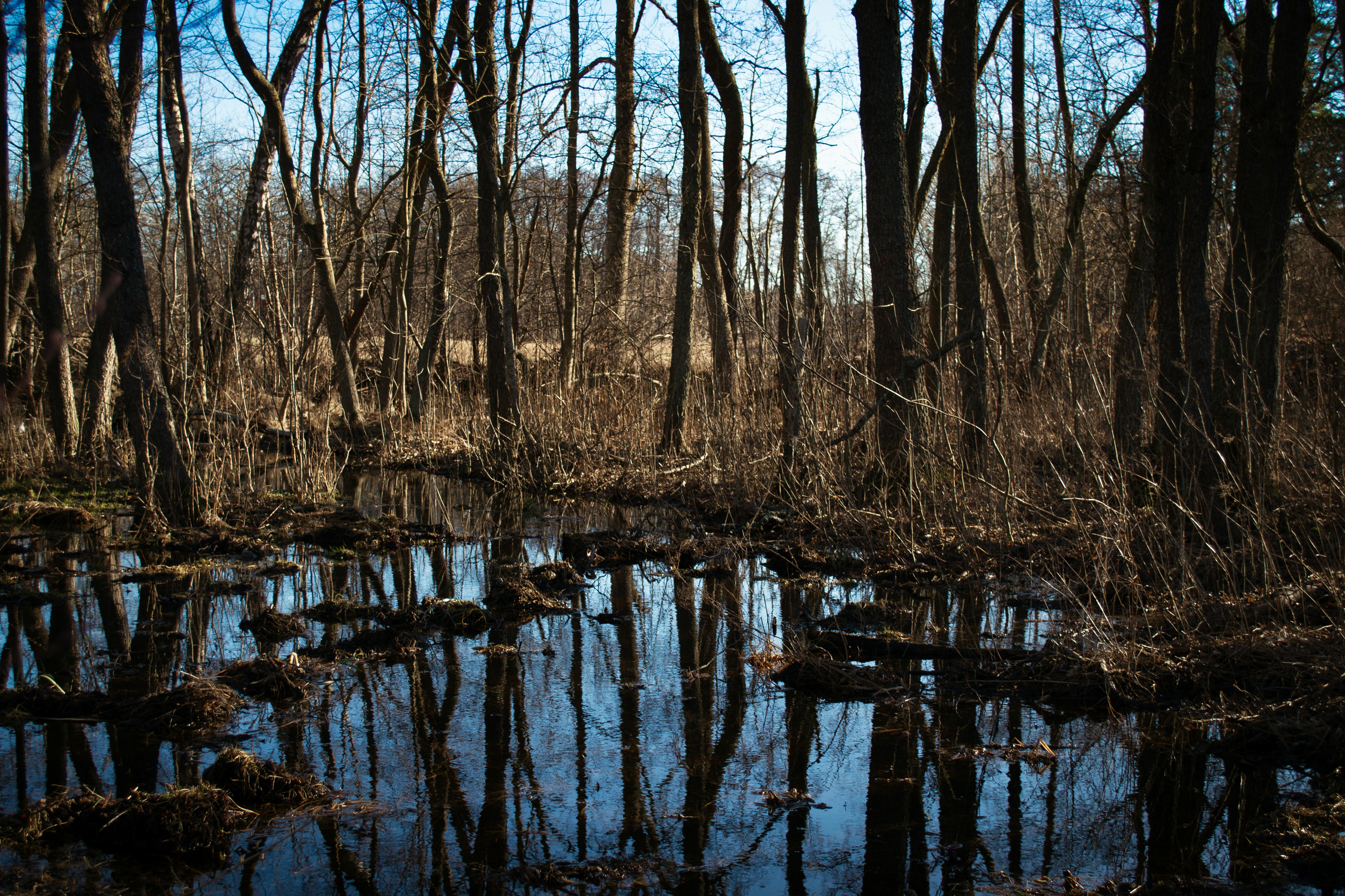 Photo by juliaelliot