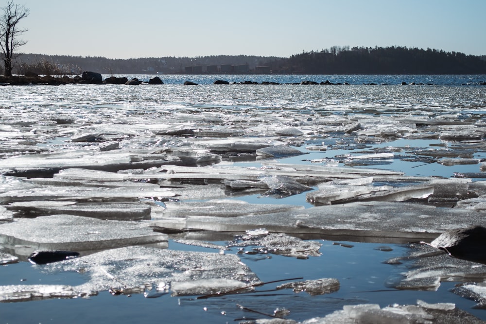 a body of water that has some ice on it